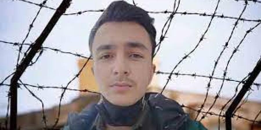 وحید اصغری