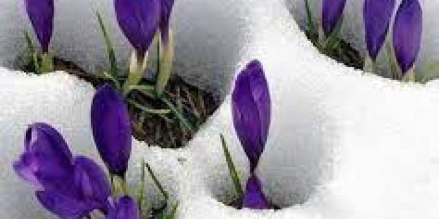 مقالات و دیدگاهها