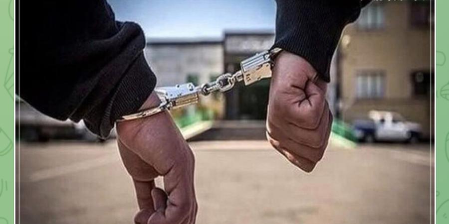 فعالین تورک‌